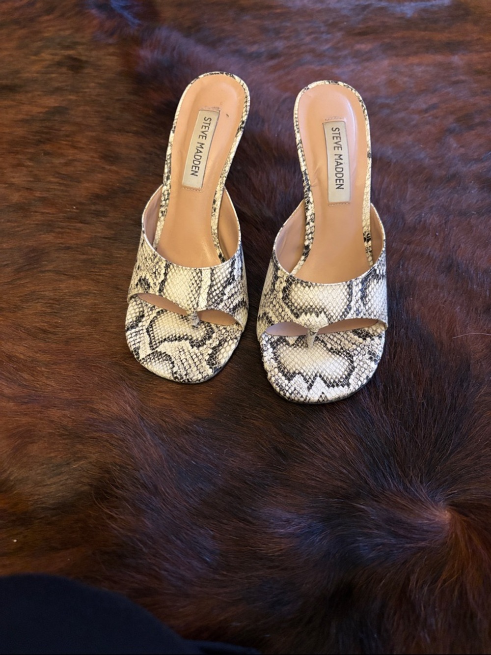 Steve Madden Snake-Print Slide Mules in Black and Cream